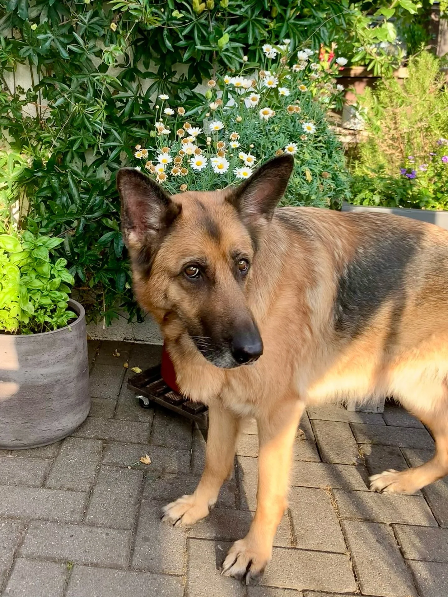 Wieso humpelst du seid Wochen so? Danke an alle die mich immer wieder aufbauen. Mit euch geht diese unfassbar lange heilungs Zeit gef&uuml;hlt schneller vor&uuml;ber 🥰