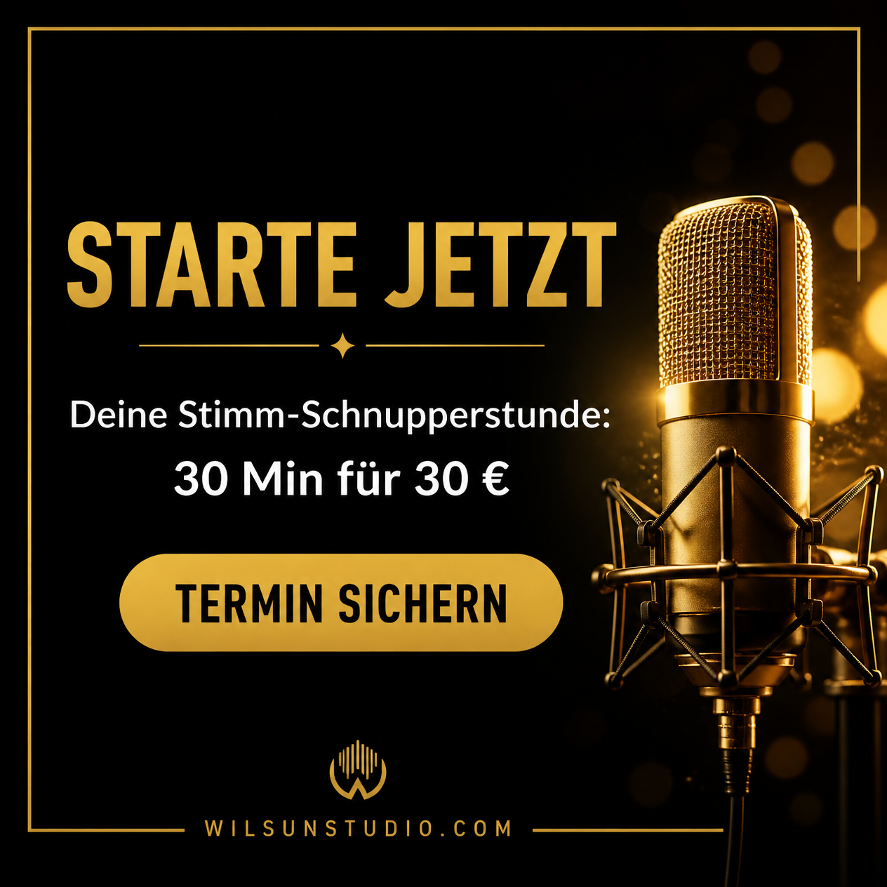 Goldenes Mikrofon auf Schwarz – Stimm-Schnupperstunde im Wilsun Studio: 30 Minuten Vocal Coaching für 30 €. Jetzt Termin sichern.