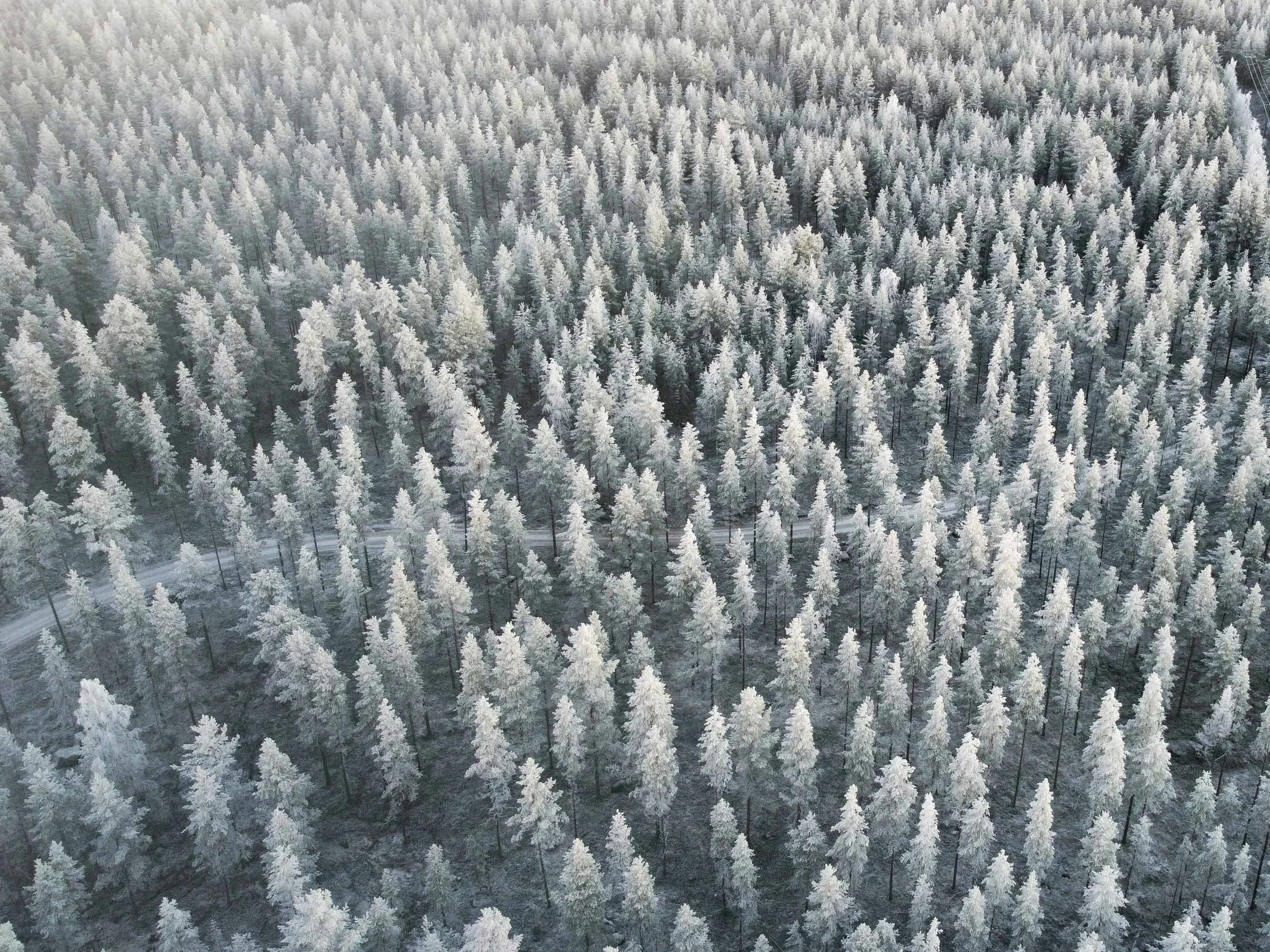 Rovaniemi - Finland