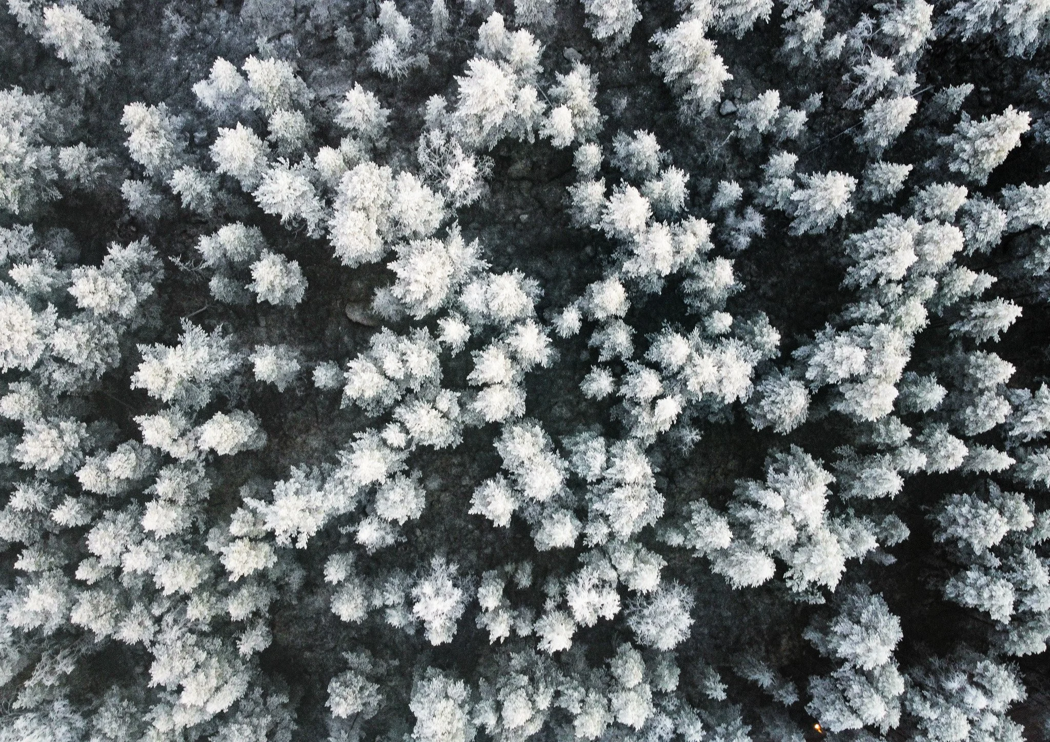 Rovaniemi - Finland