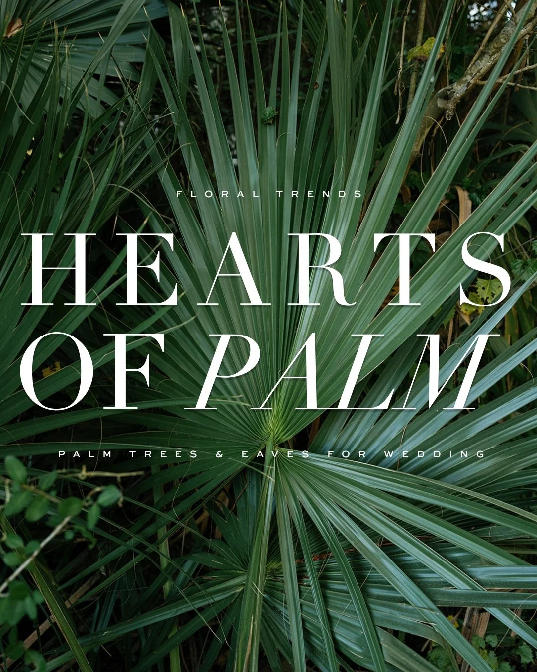 Trending: Palm fronds, cascading ferns and wild grasses. These greens don&rsquo;t compete with flowers, they elevate them. Lush without being overdone. Full without being fussy. These weddings used greenery with intention, not as afterthought. 

Disc