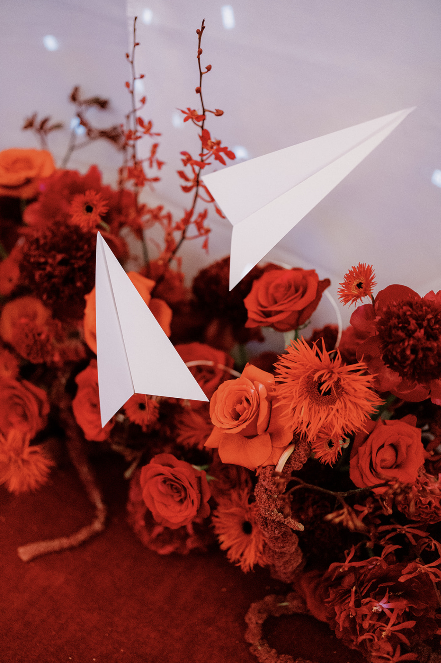 Screen Shot 2026-02-03 at 4.21.52 AM.png