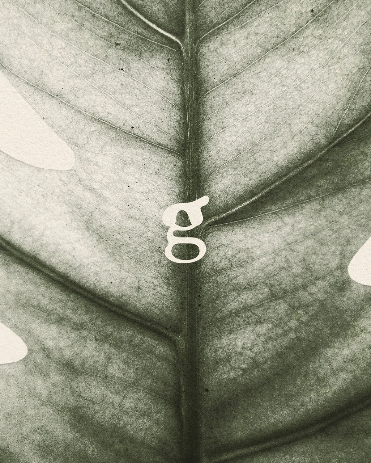 🌱 A soft palette and imagery designed to combine and reflect both natural calm and architectural strength.

Case study to follow soon. 

#branddesign #logodesign #branding #visualidentitydesign #designerlondon #designrootedinnature #biophilicdesign 
