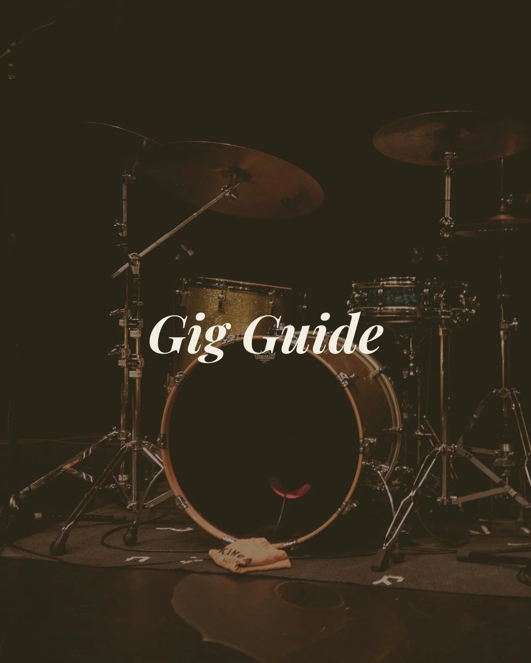 ⌇THE MOSTLY MUSIC GIG GUIDE

FRIDAY
✦ DJ Sonya Selector &mdash; Firebird Cafe
✦ KC Battle of the Bands &mdash; Te Raukura ki Kāpiti
✦ Clare Christian &amp; Mike Rigg &mdash; Raumati Social Club
✦ The Bojangles &mdash; Waterfront

SATURDAY
✦ Carylann 