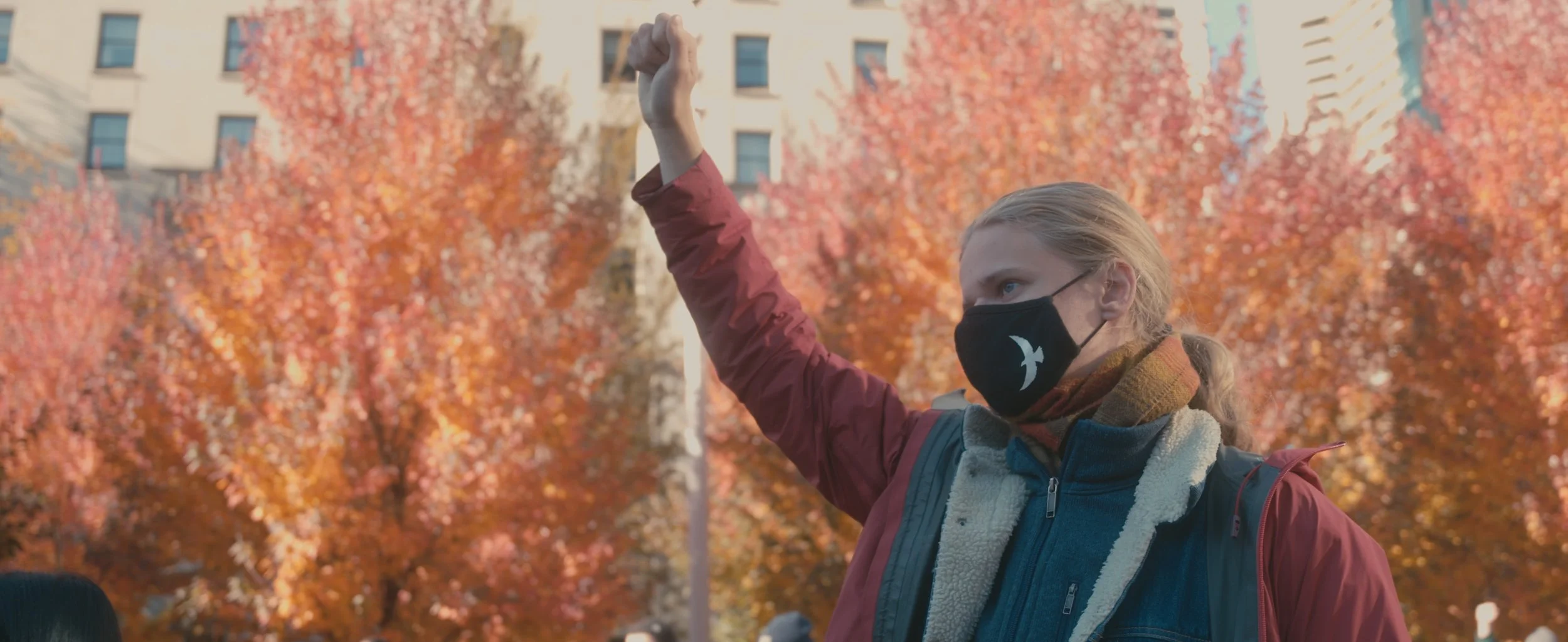 ROUGH 1.00_02_55_20.Still015.JPG