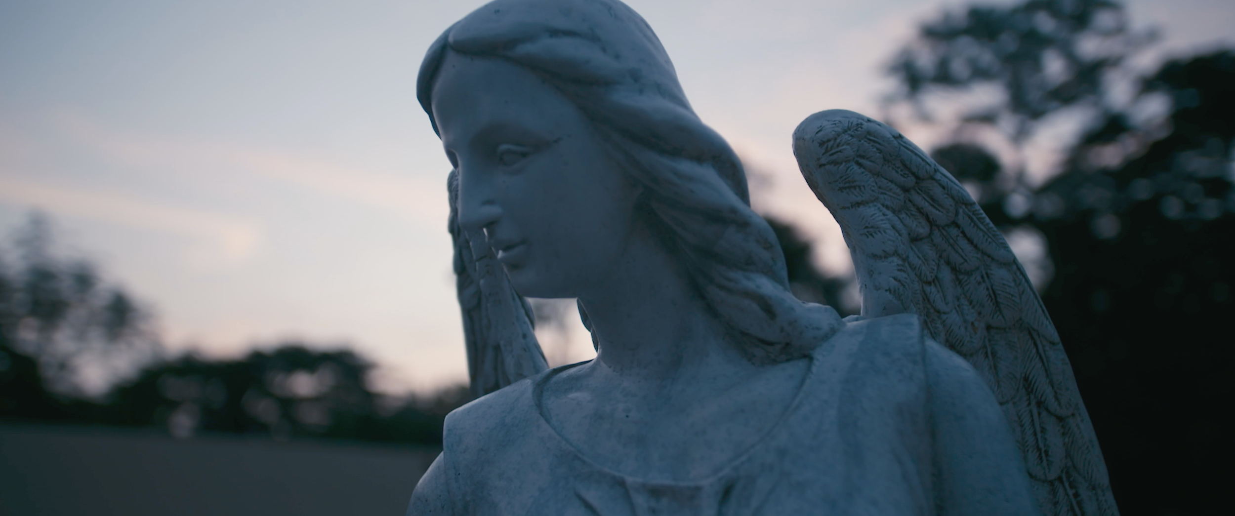 Screen Shot 2021-09-15 at 10.59.18 AM.PNG