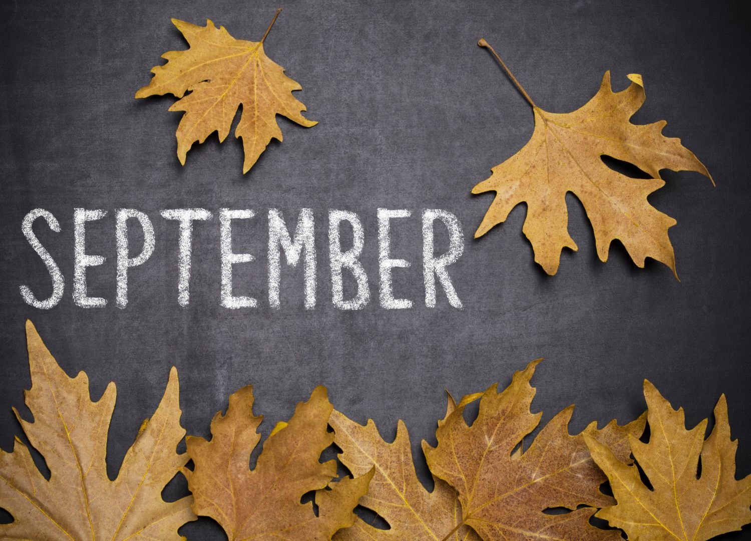 September’s New Beginnings