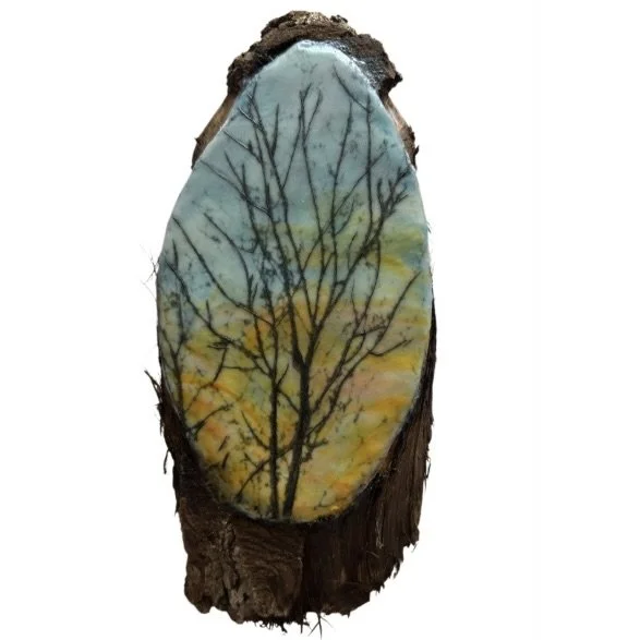 Image 4-18-26 at 8.26 AM.jpeg