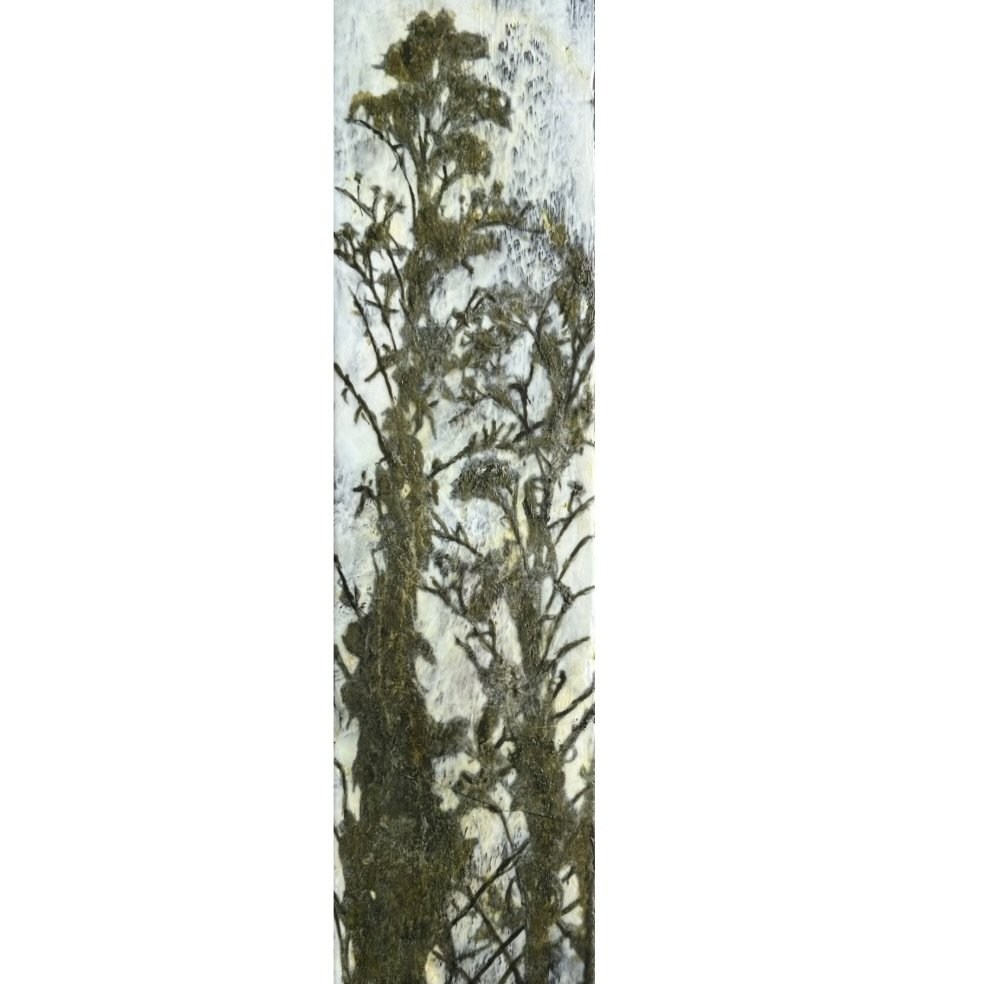 encaustic-painting-weeds-photo-collage-blue-sky-barn-wood