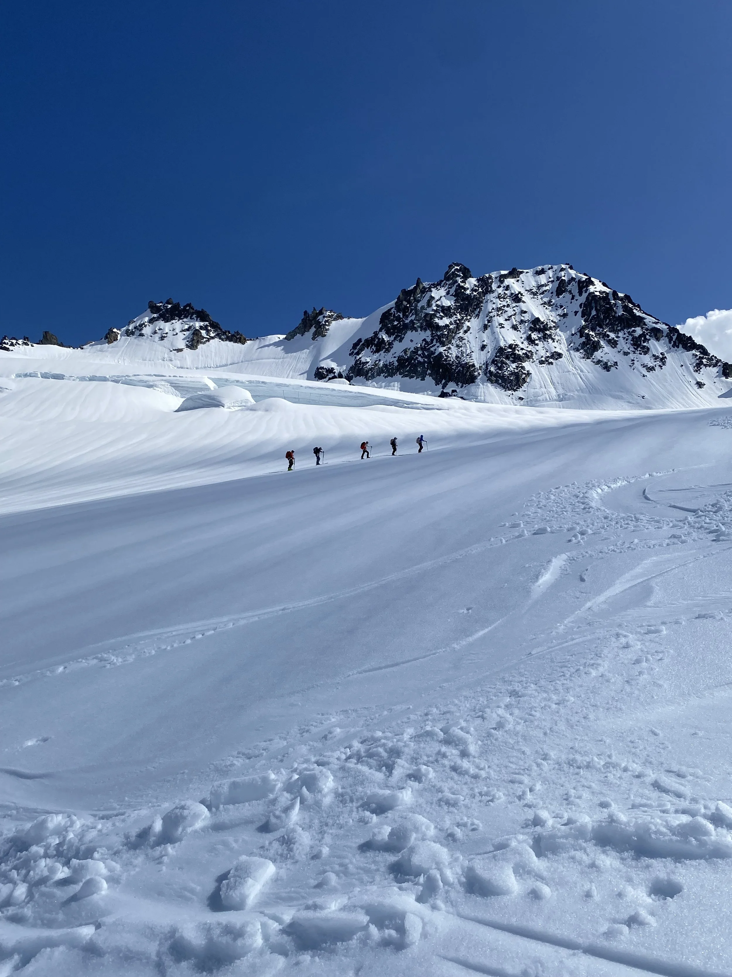 The Crew crossing another enromous glacier on the Isolation Traverse.  Photo by Ian Nicholson
