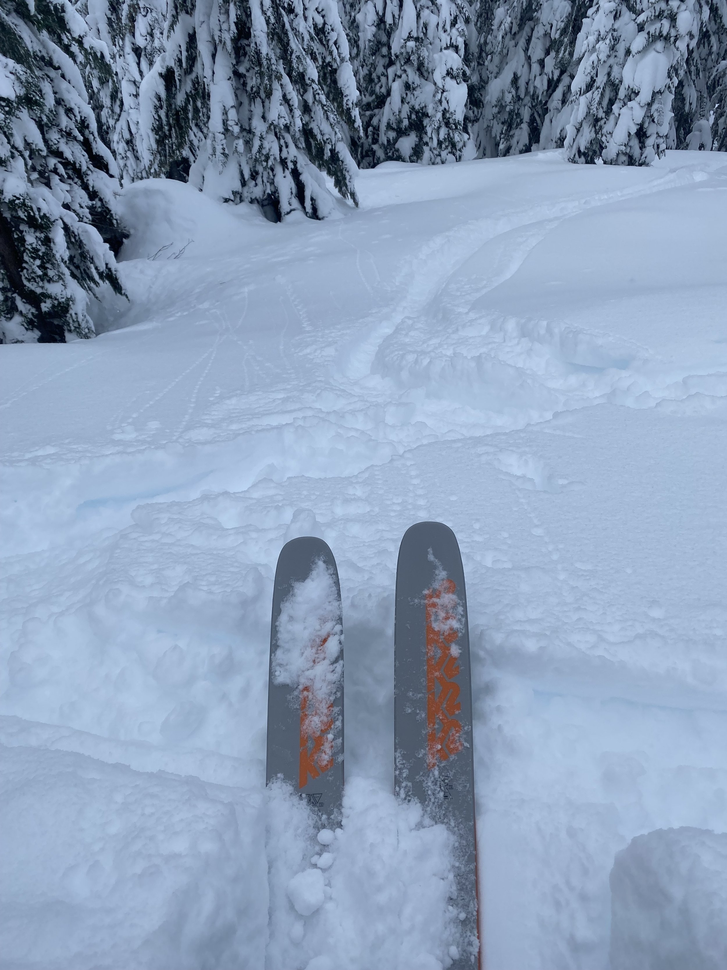 Cascade Powder Guides, Cascade Powder Cats, Stevens Pass, Cat Skiing Washington, Powder Skiing, Photo Ian Nicholson
