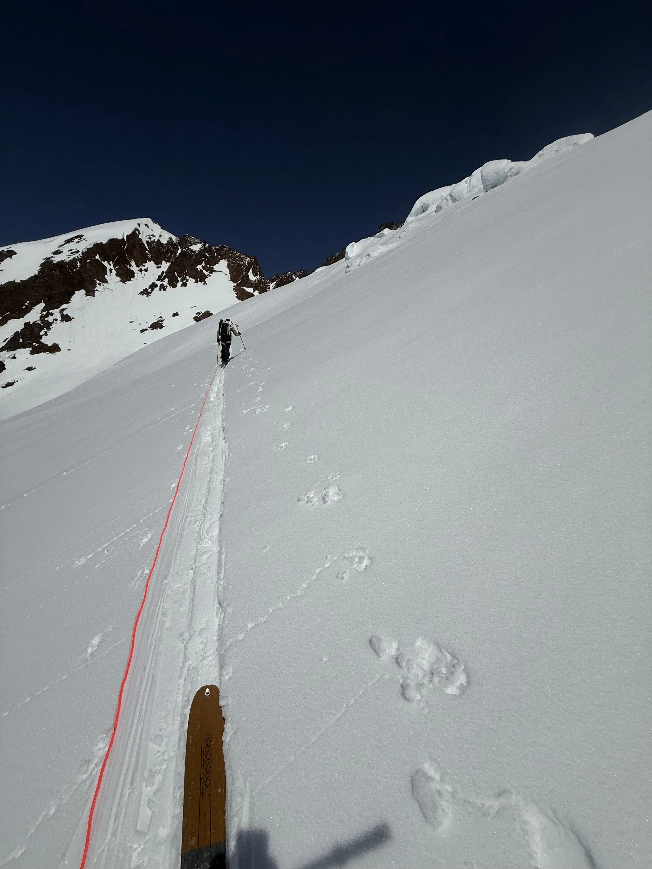 Skinning up the Quien Sabe Glacier on day one of the Forbidden Tour. Photo by Ian Nicholson