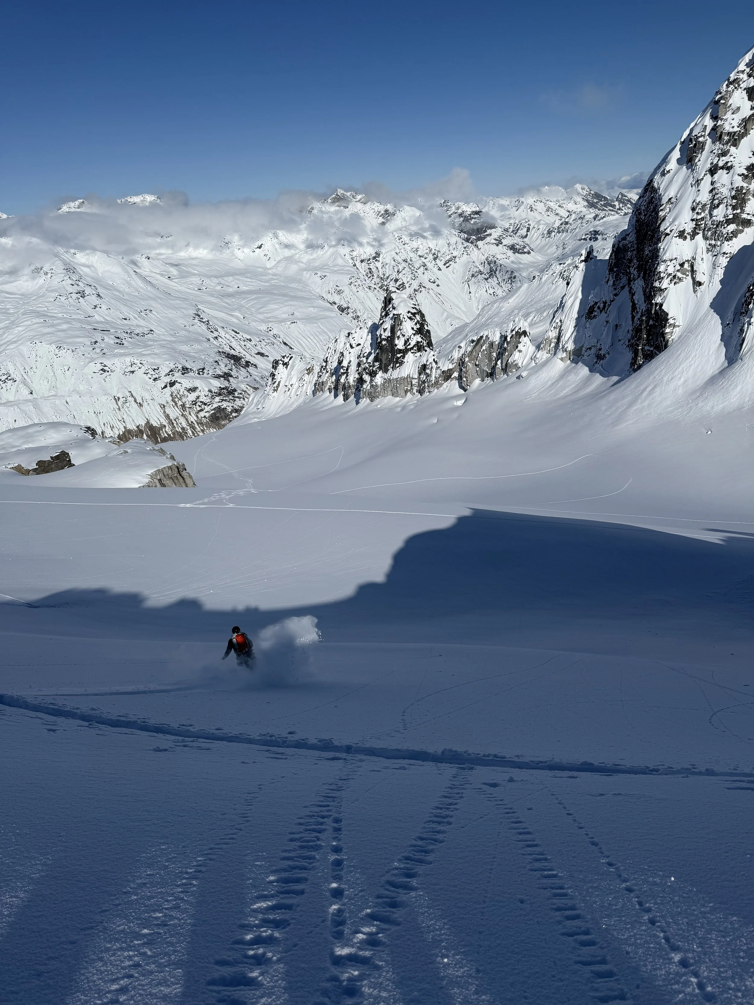 Skiing down the South Central Fork of the Coffee Glacier just North of Glacier One while skiing touring in the Alaska Range. Photo by Ian Nicholson