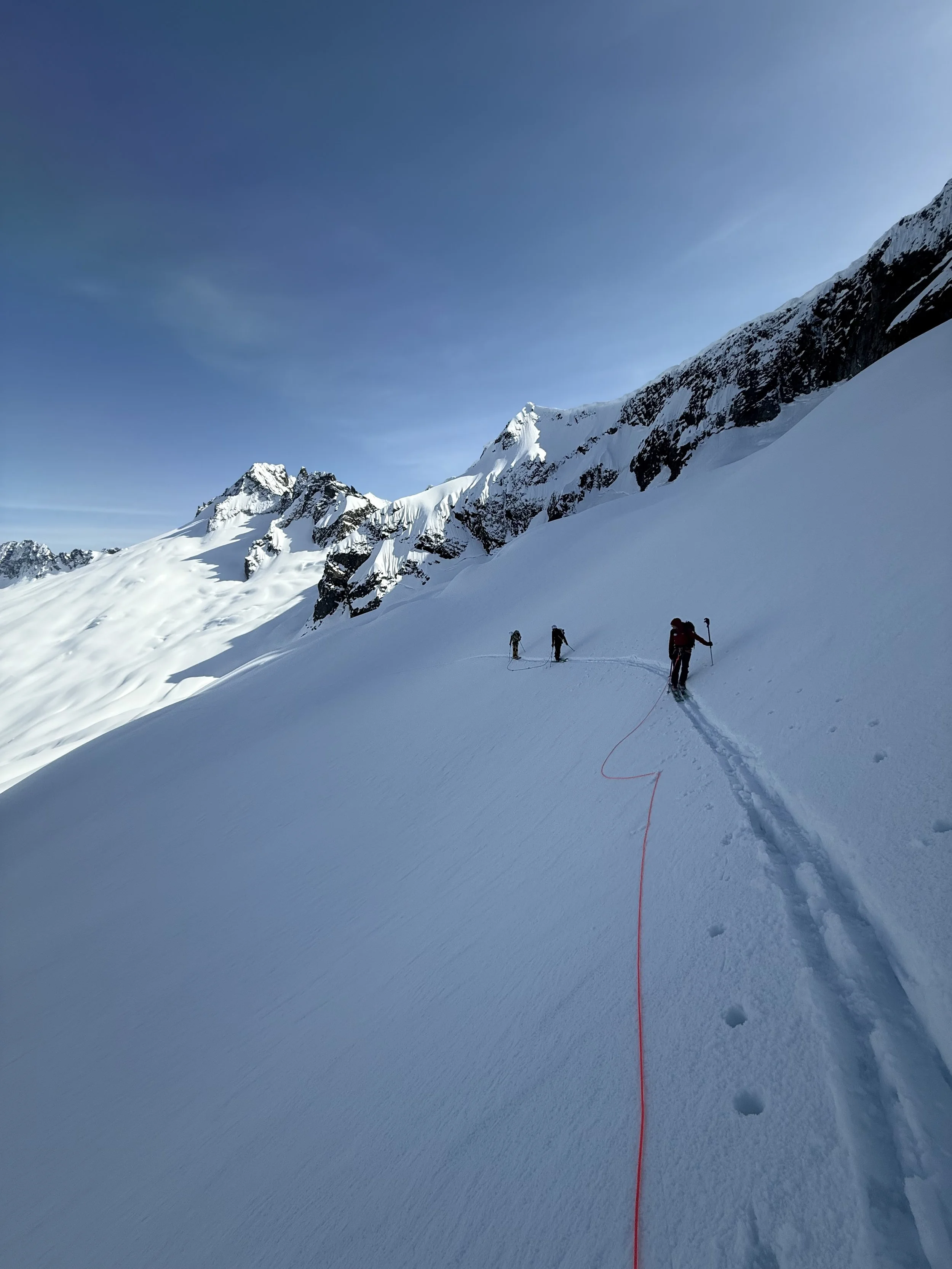 Skinning acrossing the Boston Glacier with Mt. Buckner in the background while skiing the Forbidden Tour, North Cascades WA, Photo by Ian Nicholson
