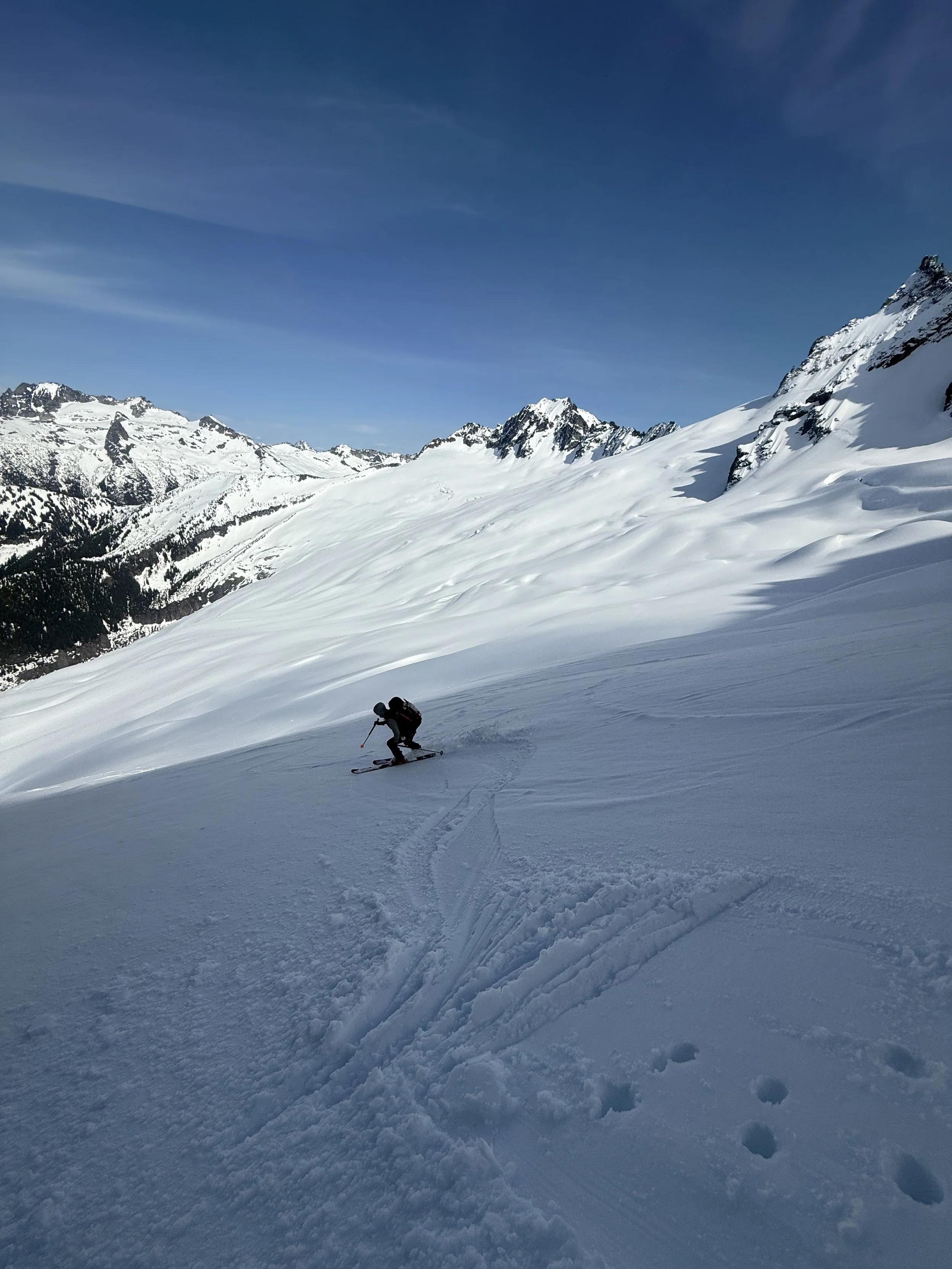 Skiing down the Boston Glacier with Mt. Buckner while skiing the Forbidden Tour, North Cascades WA, Photo by Ian Nicholson