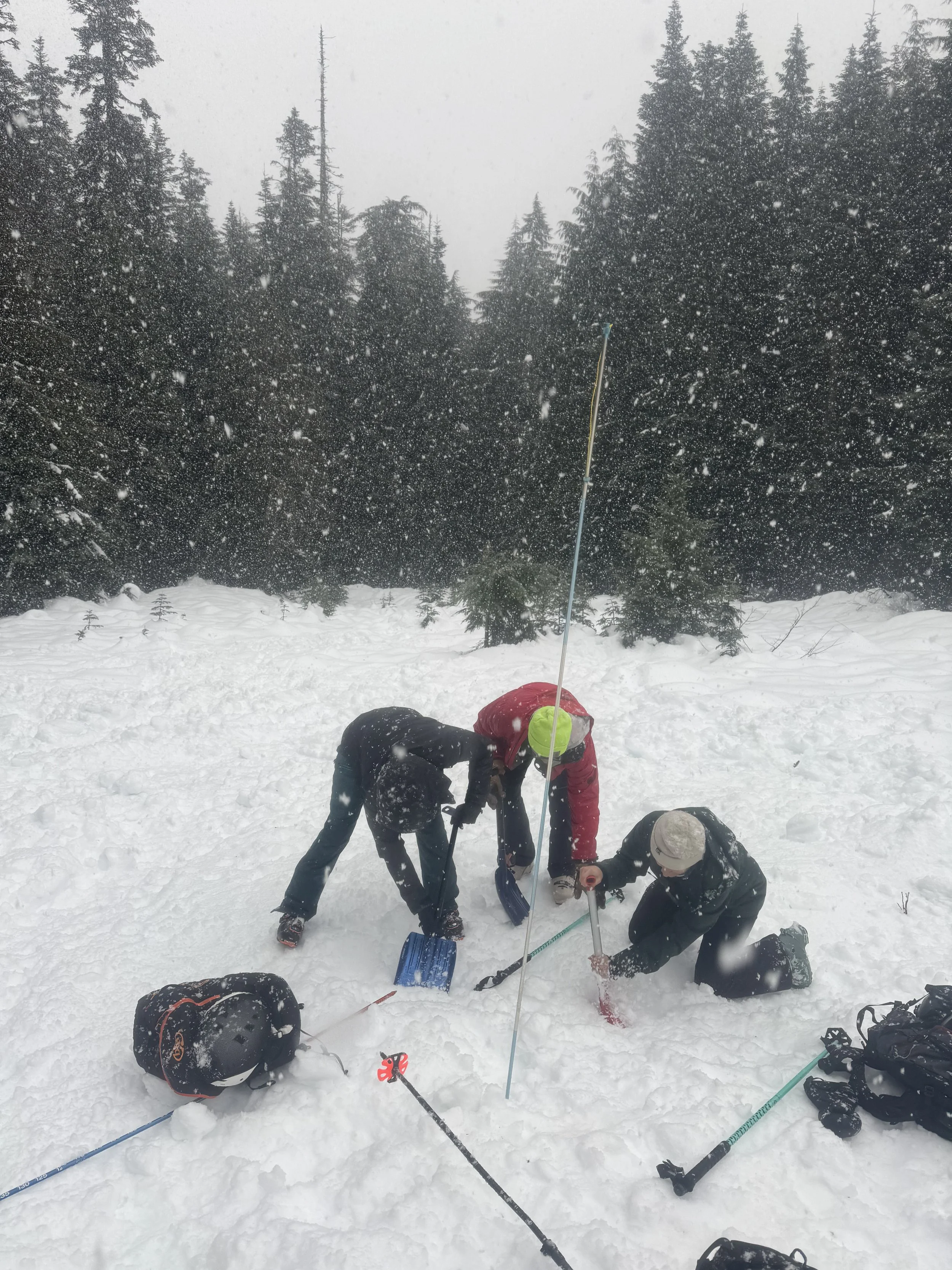 People in winter clothing and helmets are on snowy ground in a forest, working together to set up or fix a device with a stake and wires in a snowy mountain landscape with tall pine trees in the background.