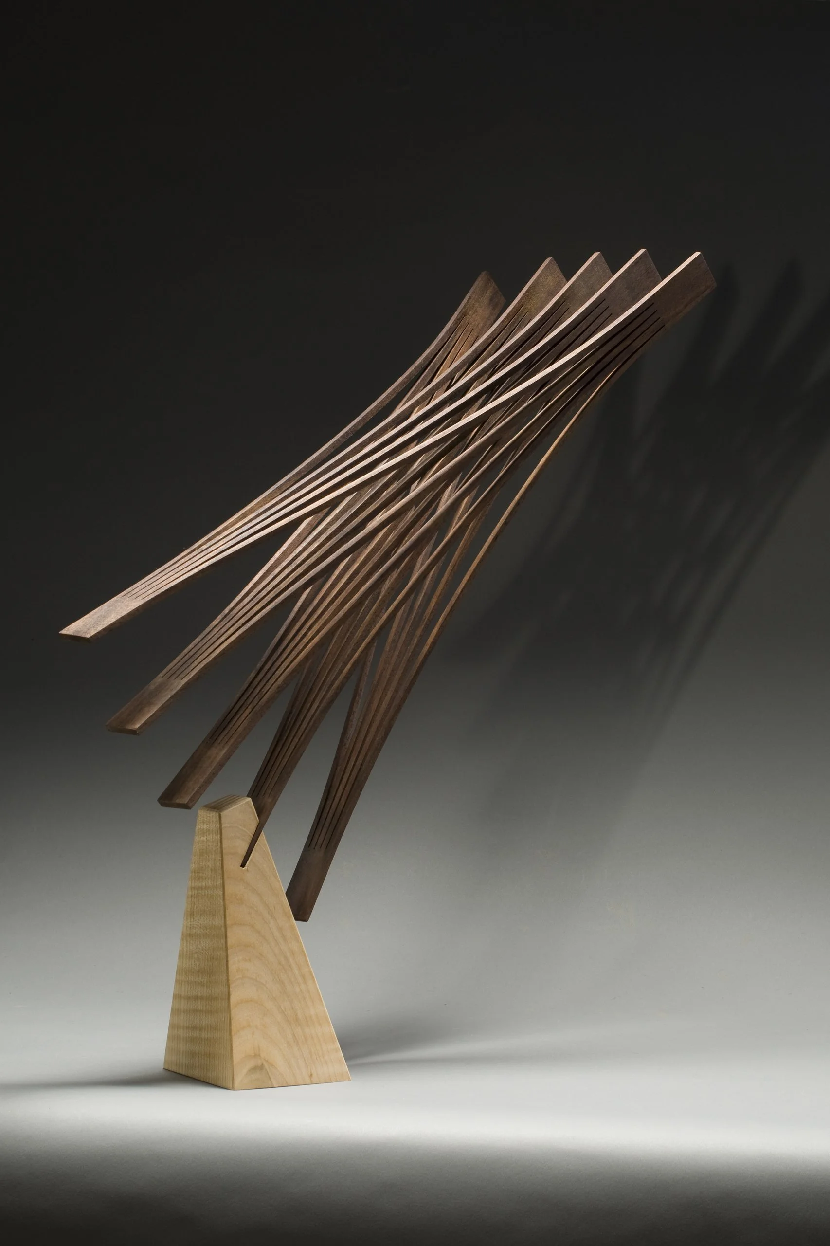 Seth Rolland — Bird in Space — Full.jpg