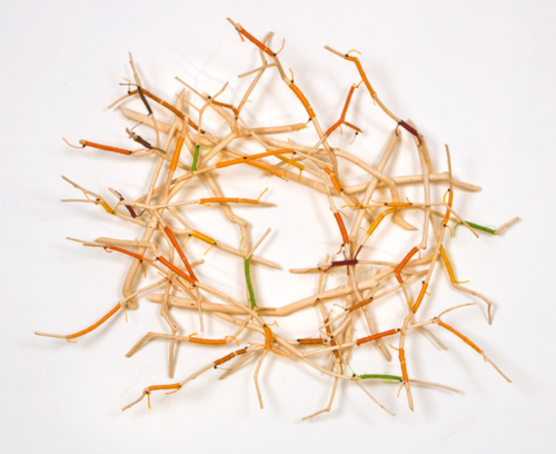 June 2021 Newsletter