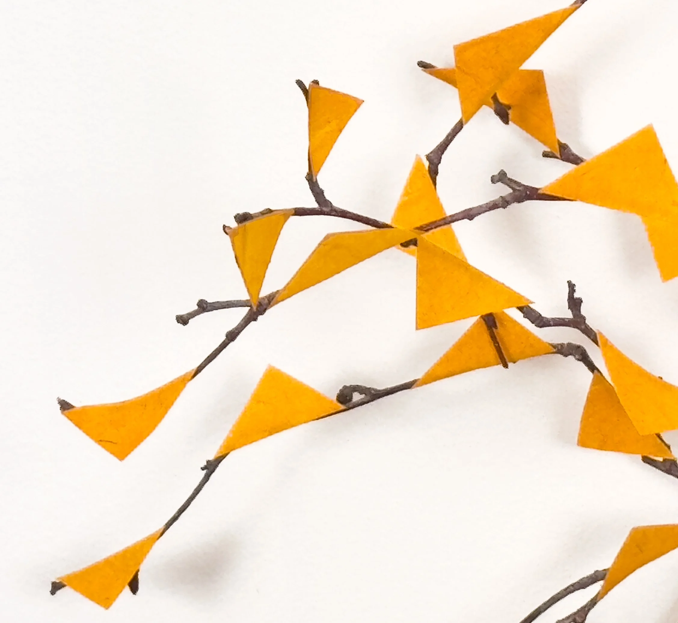Denise Snyder — Aura of Lightness — Detail.jpeg