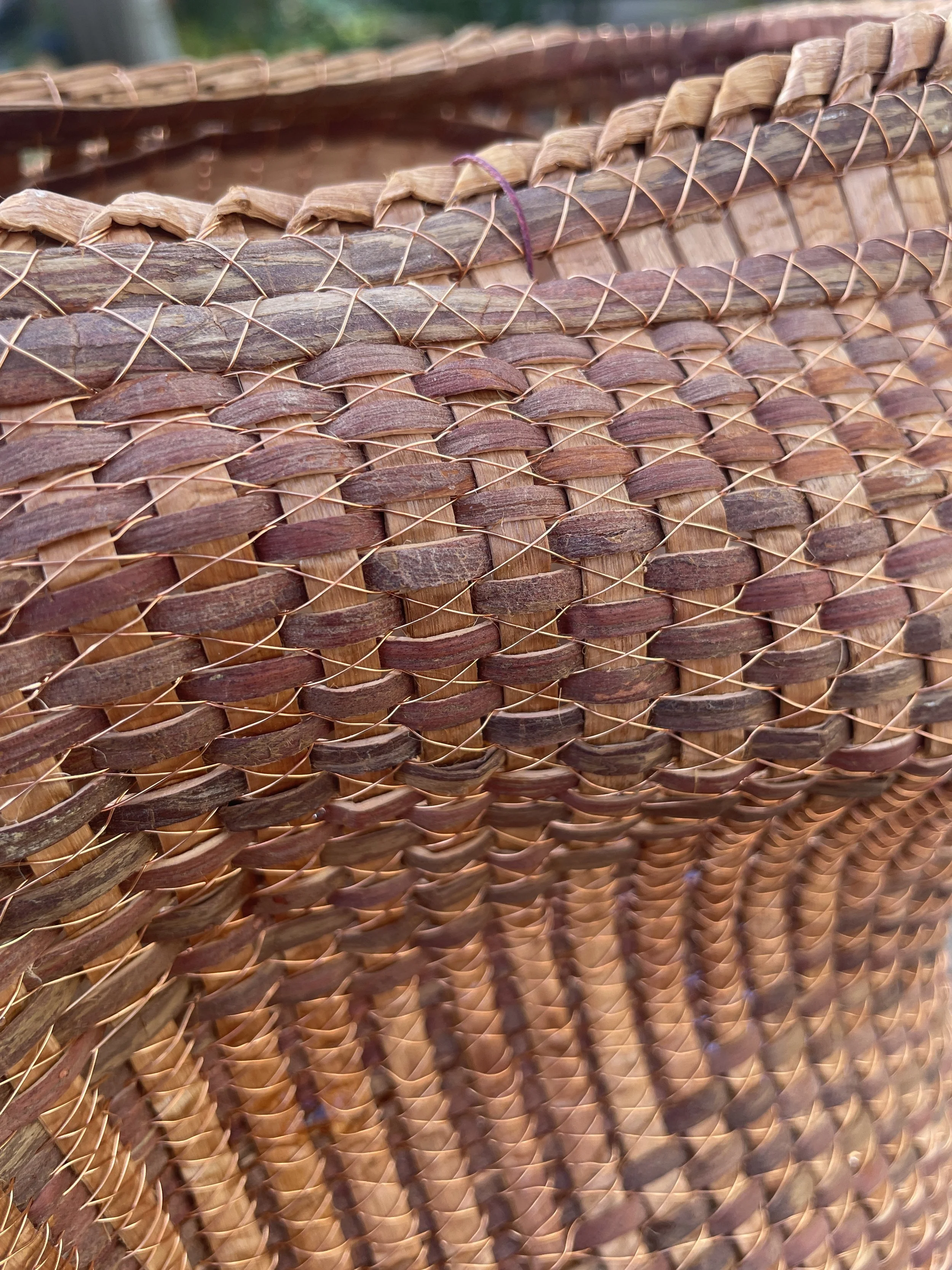 Sutton_Polly_Robin_2 - Polly Sutton.jpg