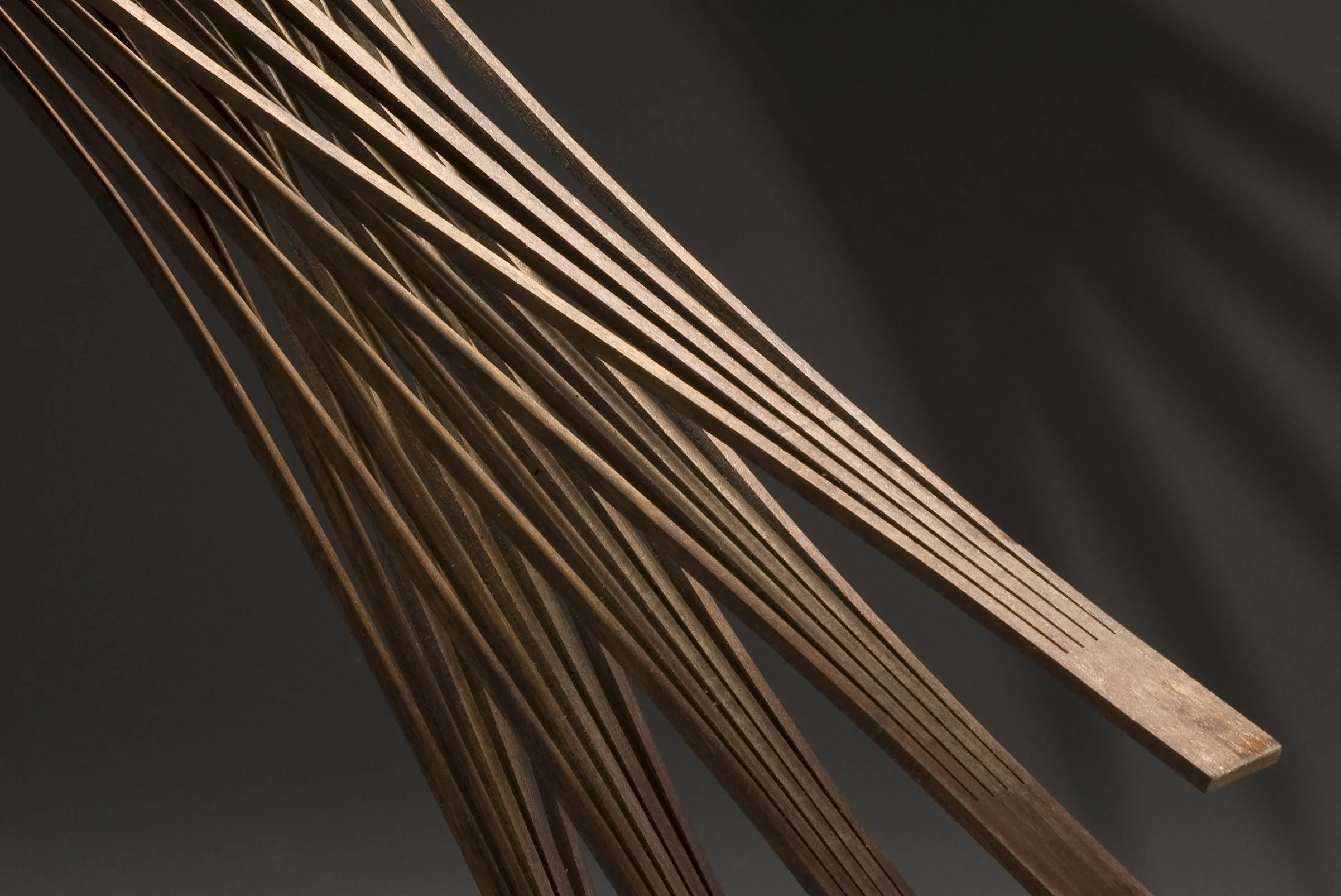 Seth Rolland — Bird in Space — Detail.jpg