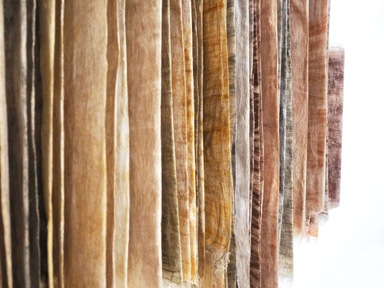 Claire Renaut — Topography — Detail.jpg