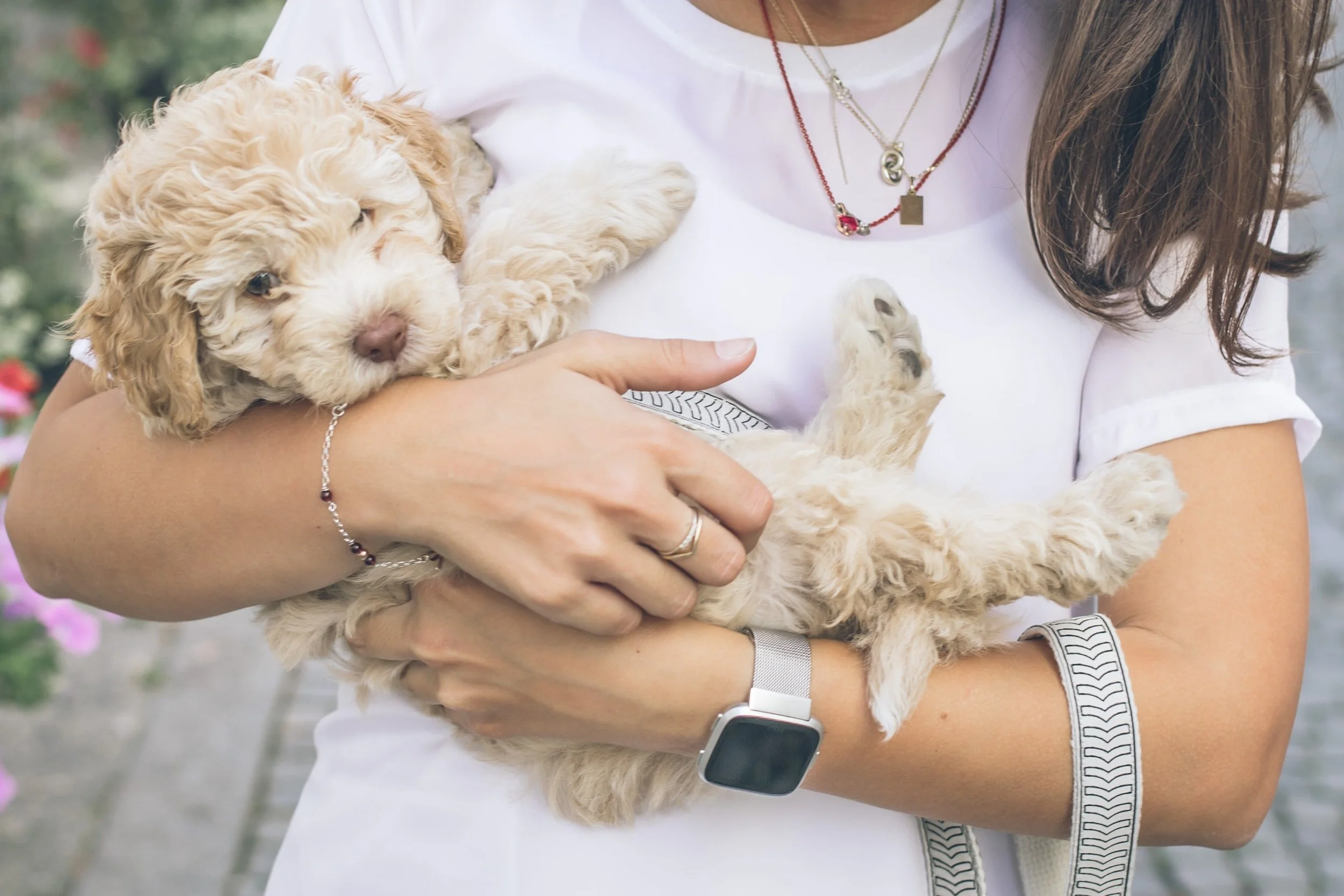 Tips for New Dog Parents