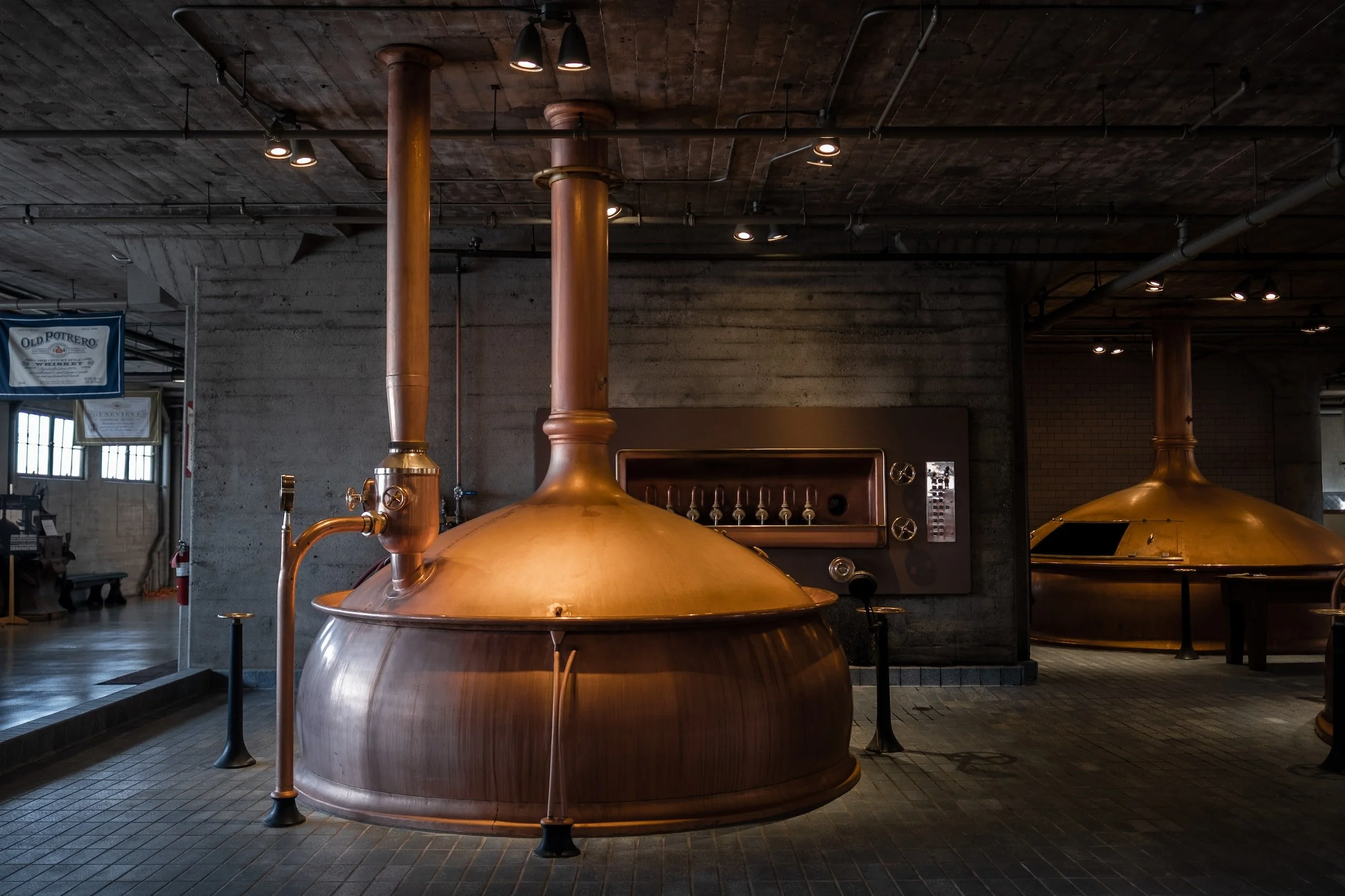 Dog Friendly Breweries in Denver