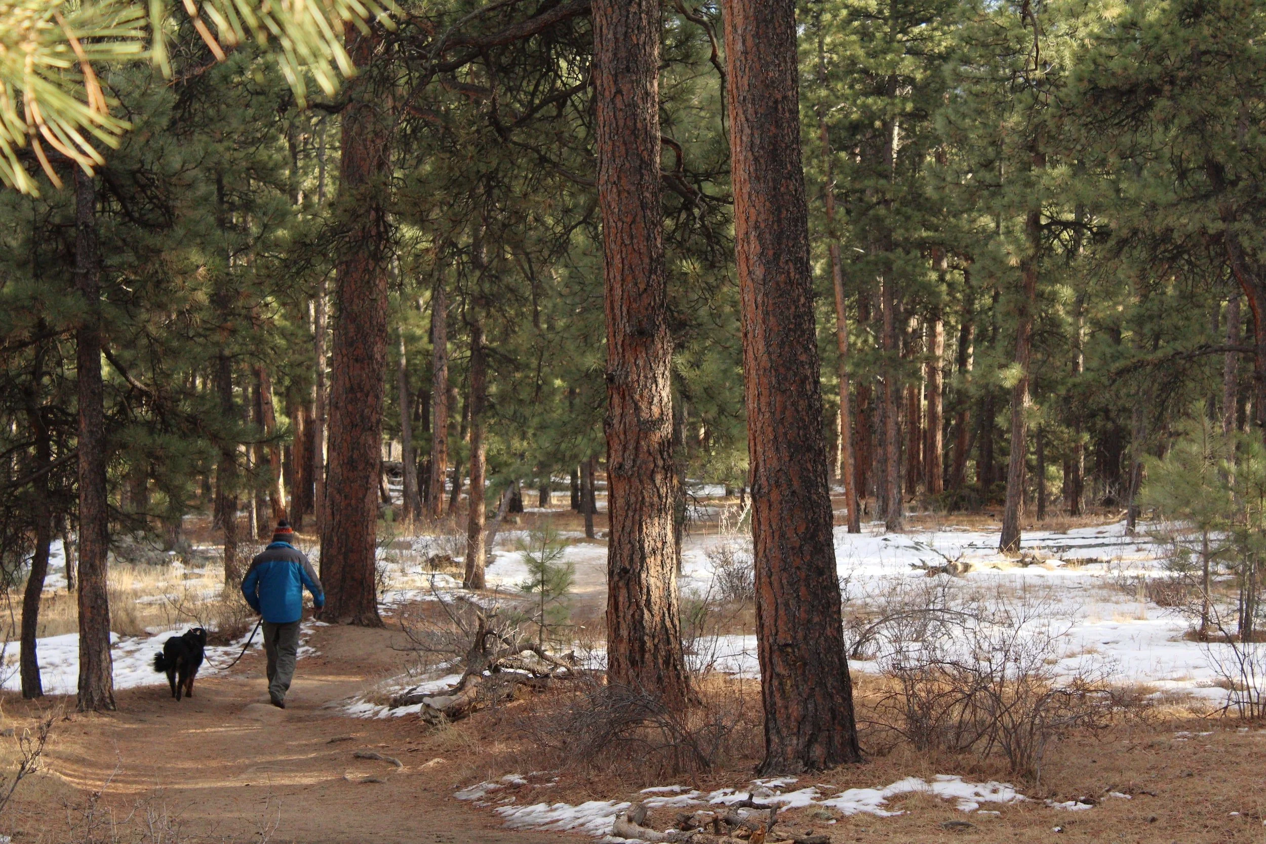 Denver Hiking Trails 