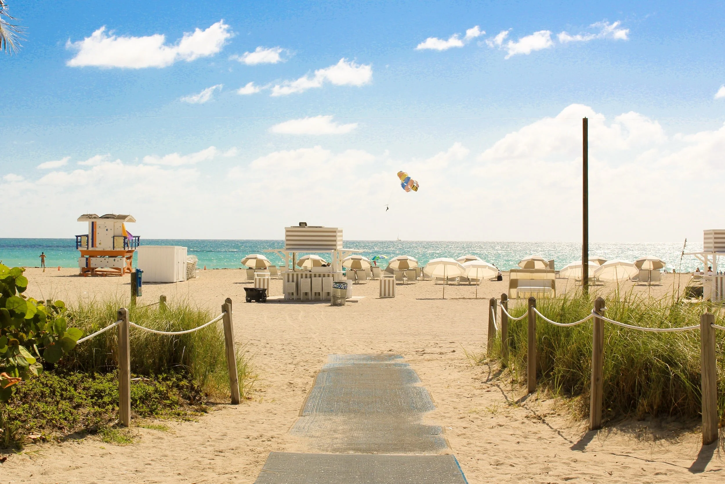 Franchise Opportunities in Florida
