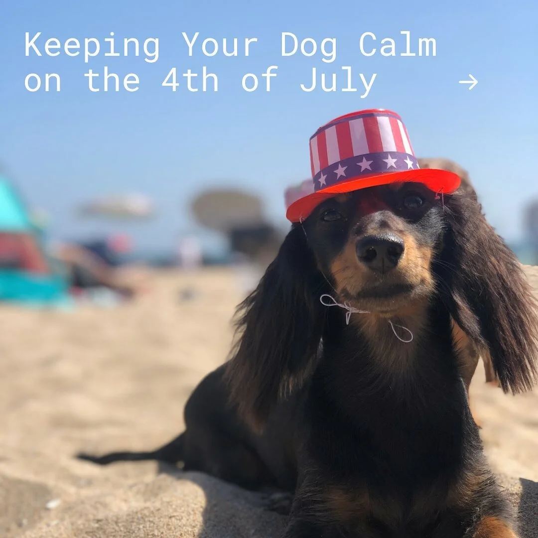 As we approach the upcoming holiday weekend, here are a few ways you can be mindful of your dog&rsquo;s health, safety, and emotions 💙 Have a fun &amp; safe weekend!

#dogdrop #4thofjulyweekend #independenceday🇺🇸 #dogsafety #petsafety #dogsoflosan