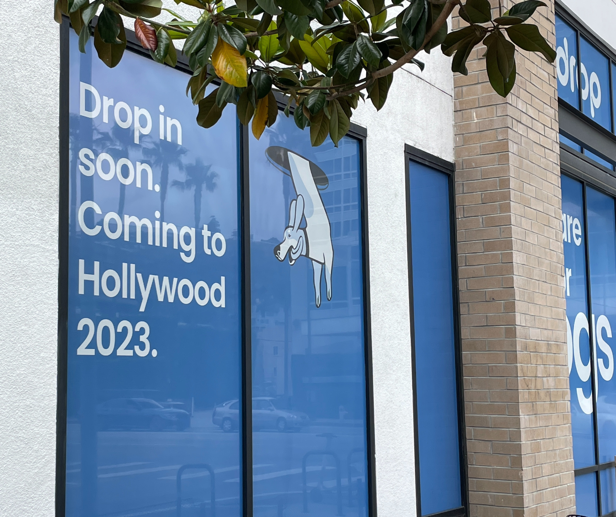 Dogdrop is headed to Hollywood after strong consumer demand and success in the Arts District