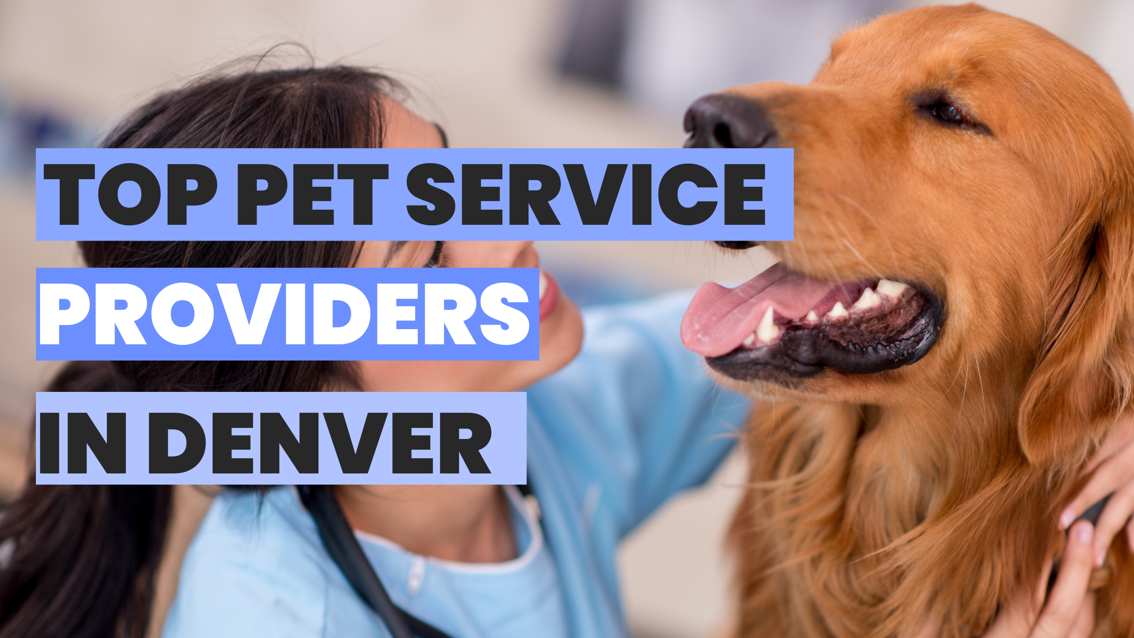 Best Dog Services in Denver