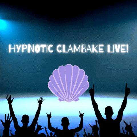 Catch the Bake LIVE!