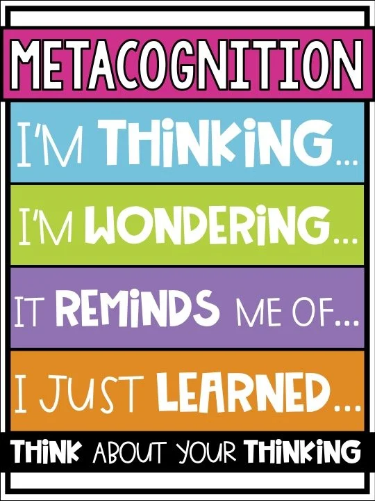 SS Metacognition