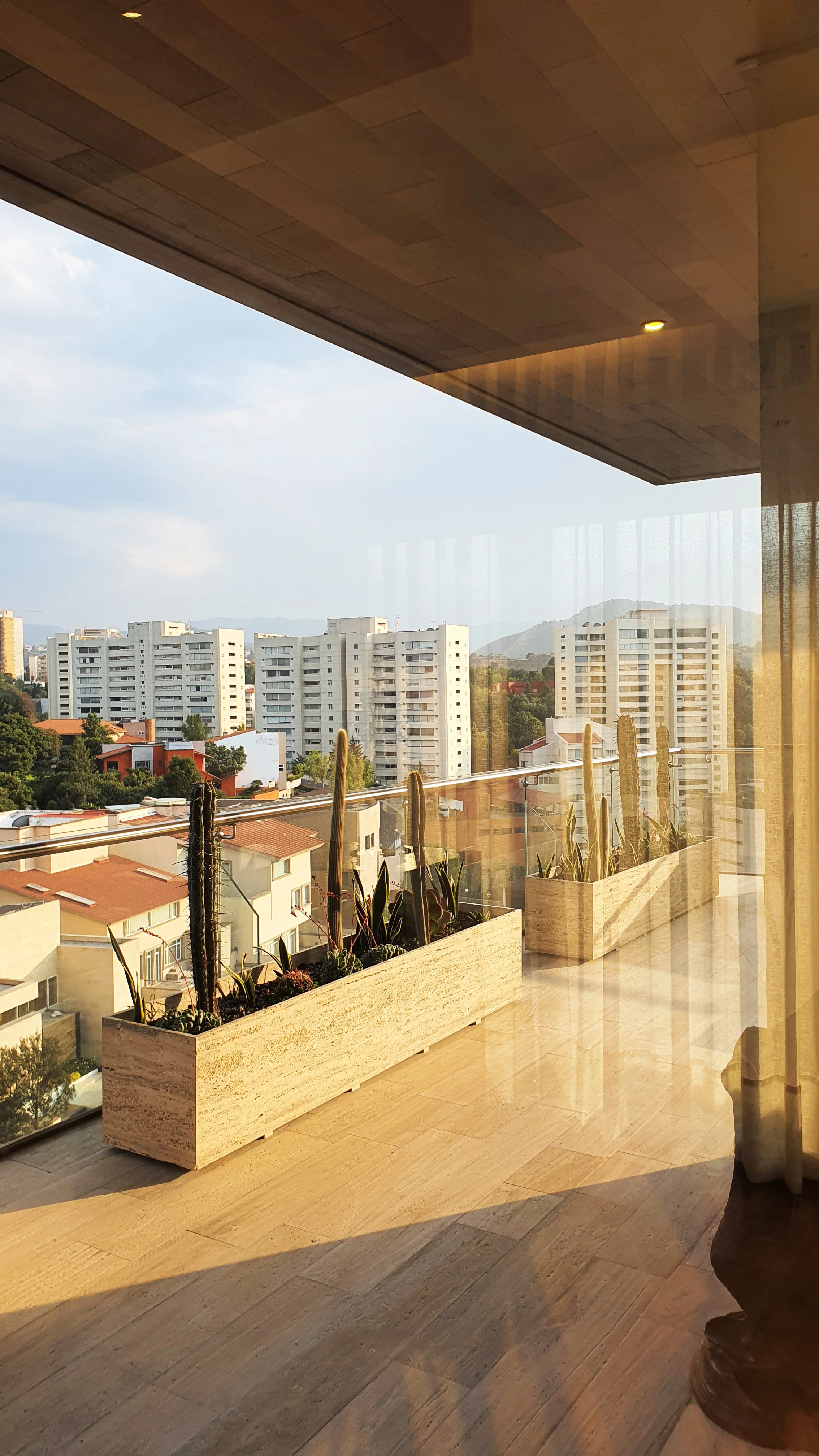 CACTUS TERRAZA PATIO PLANTS KP HOME SALA COMEDOR LIBRERO DISEÑO INTERIORES INTERIORISMO ILUMINACION KENNEDYPINAZZI KENNEDY PINAZZI DECORACION INTERIOR DESIGN ARQUITECTURA DE INTERIORES MEXICO DECOR LIGHTING DESIGN WEEK MODERN MODERN ARCHITECTUR.jpg