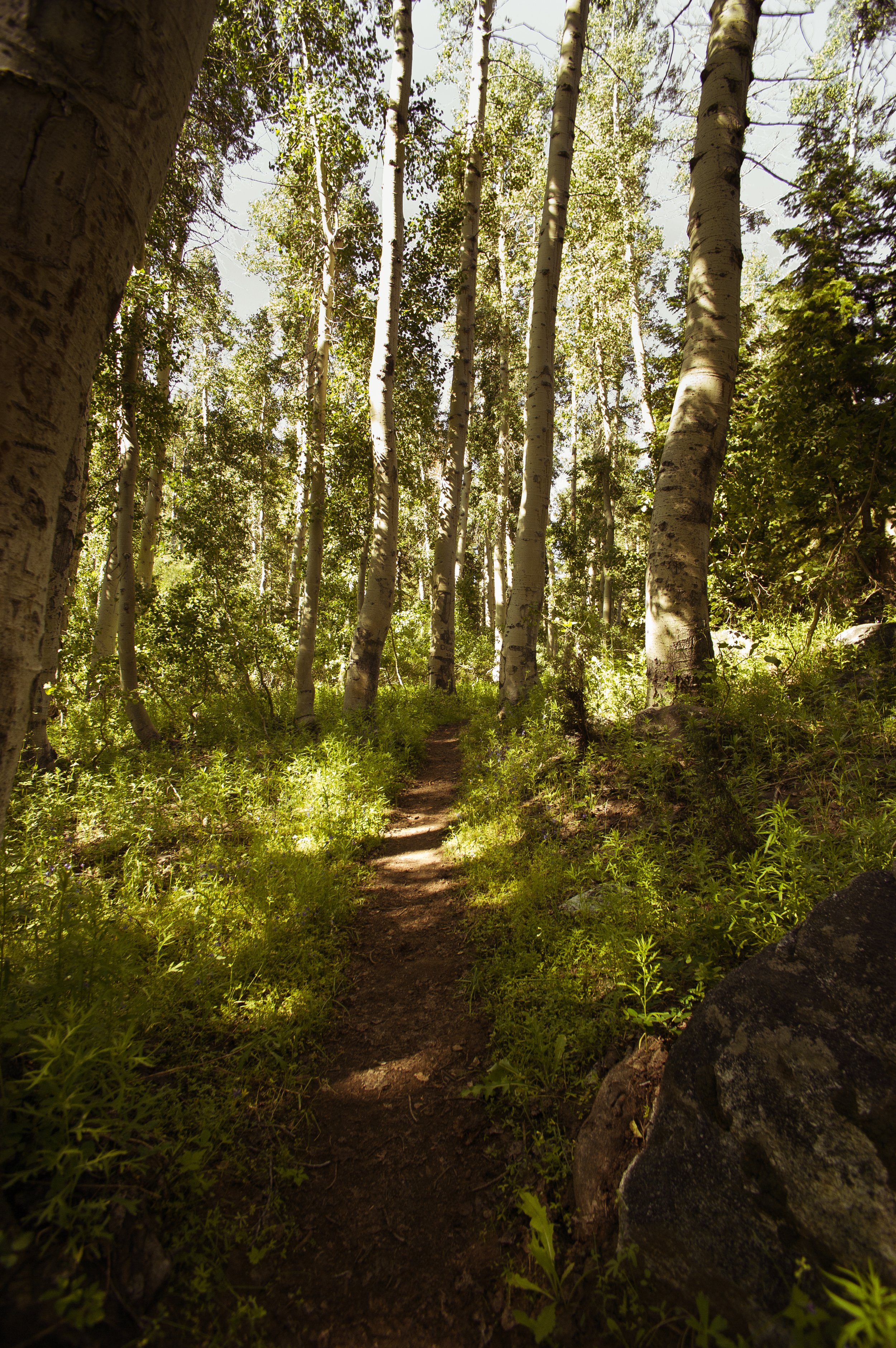 SCI 2011_JMT-1610.jpg