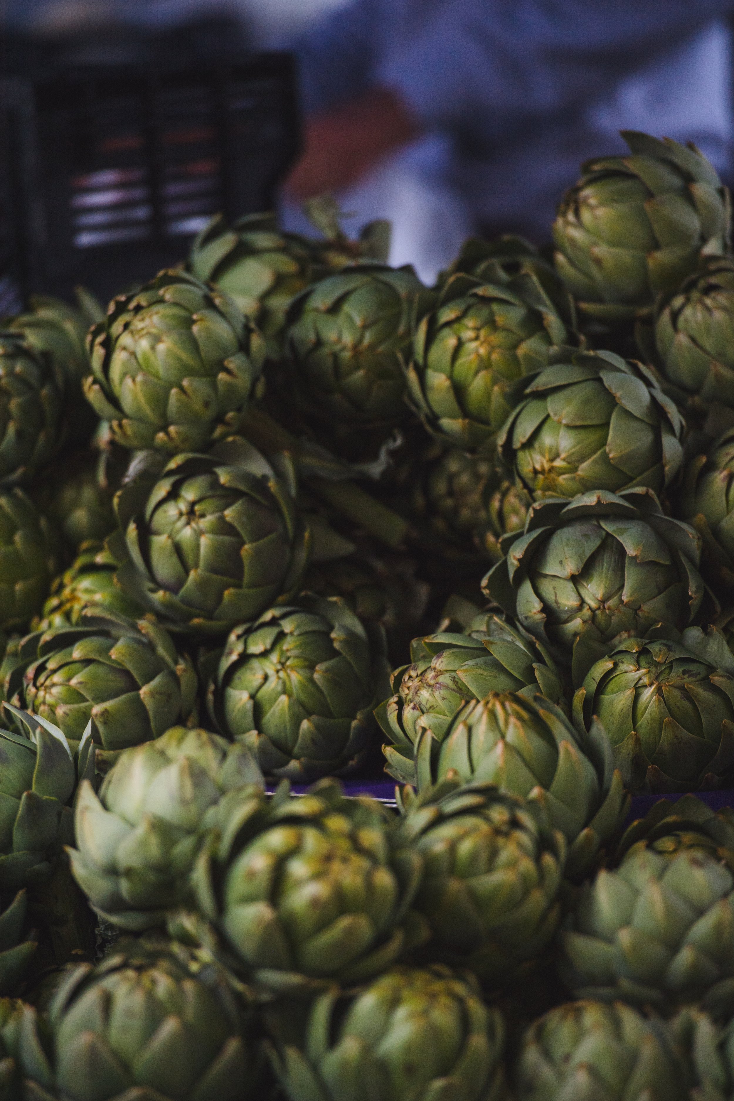 SerenaCreative 2018 09_FoodForward_FACES_1649-Edit.jpg