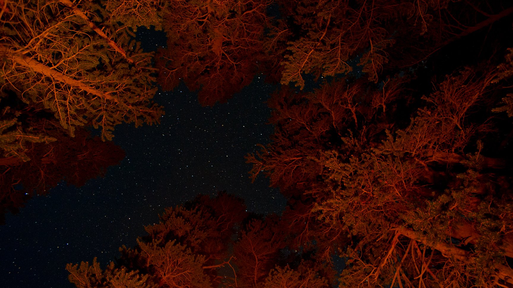 SCI 2011_JMT-2048.jpg
