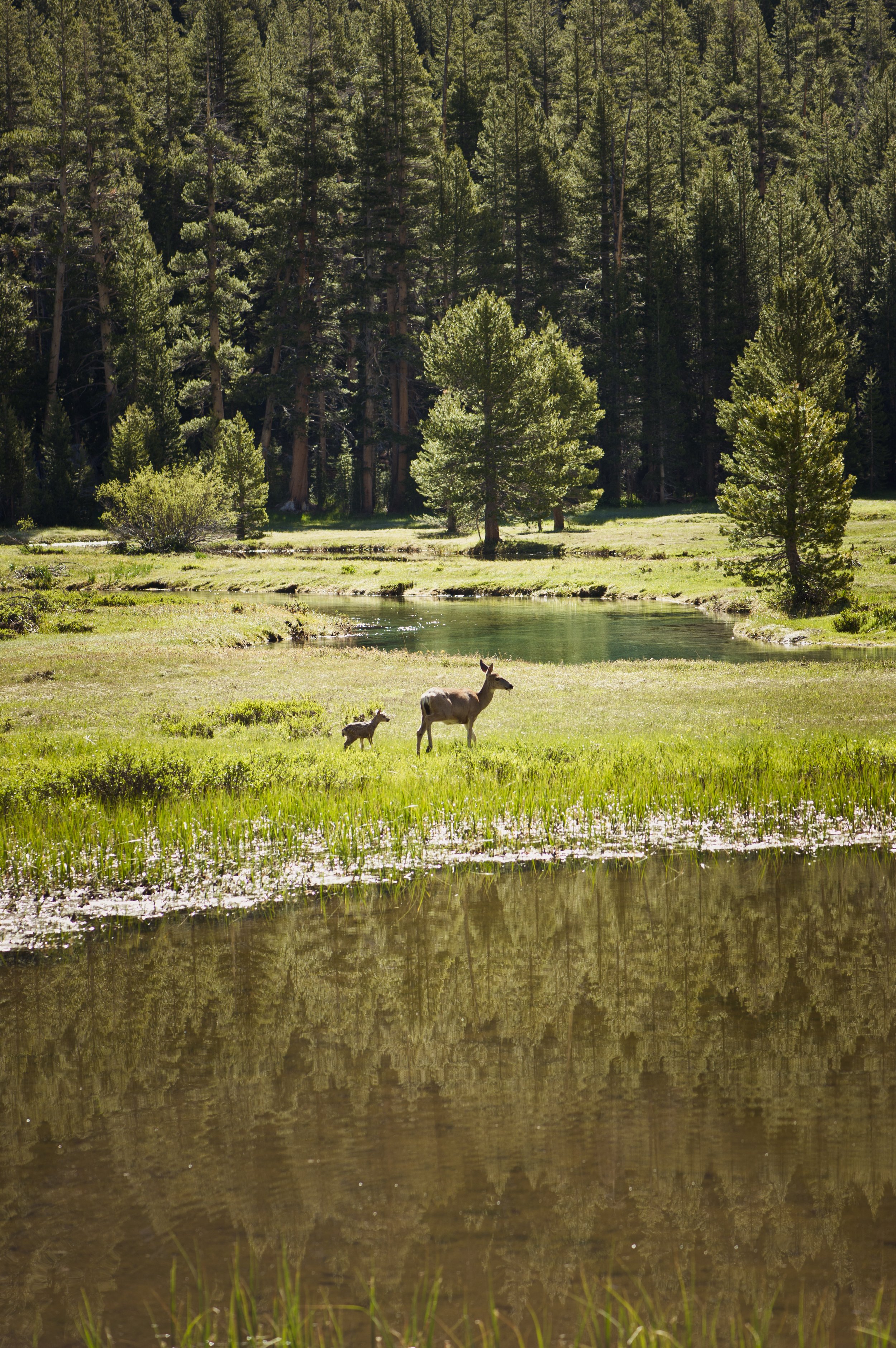 SCI 2011_JMT-1021.jpg