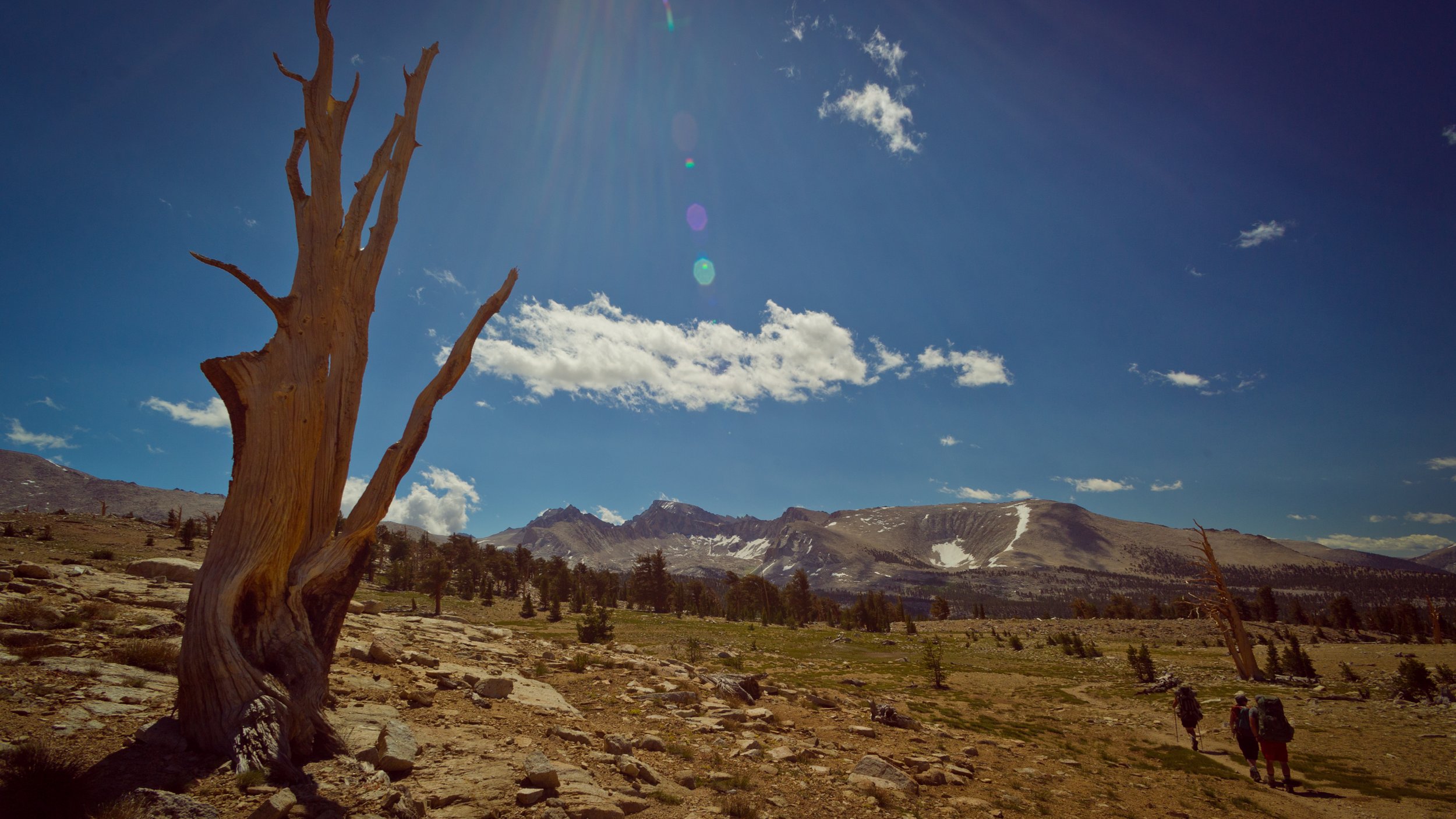 SCI 2011_JMT-2685.jpg