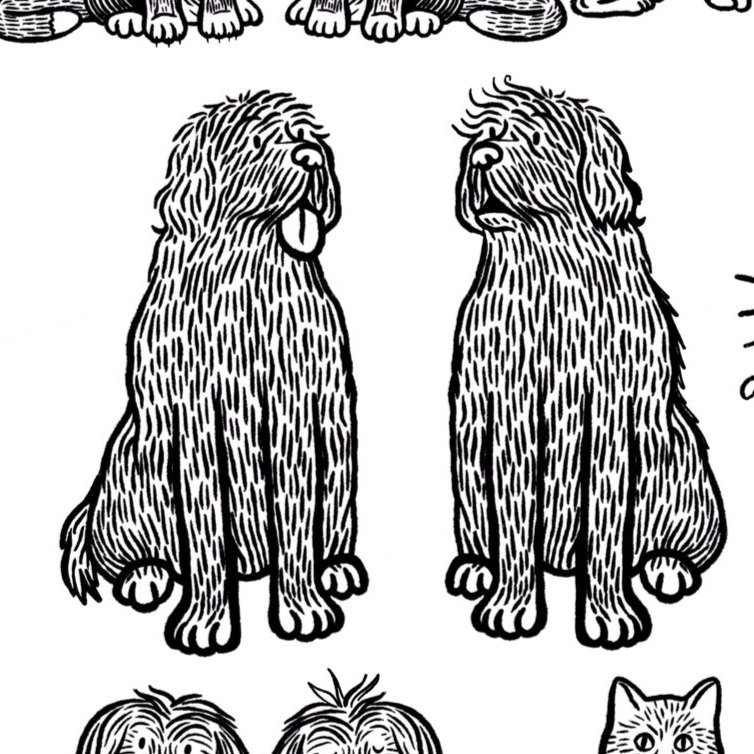 Black and white illustration of two dogs sitting side by side with similar fur textures, facing forward.