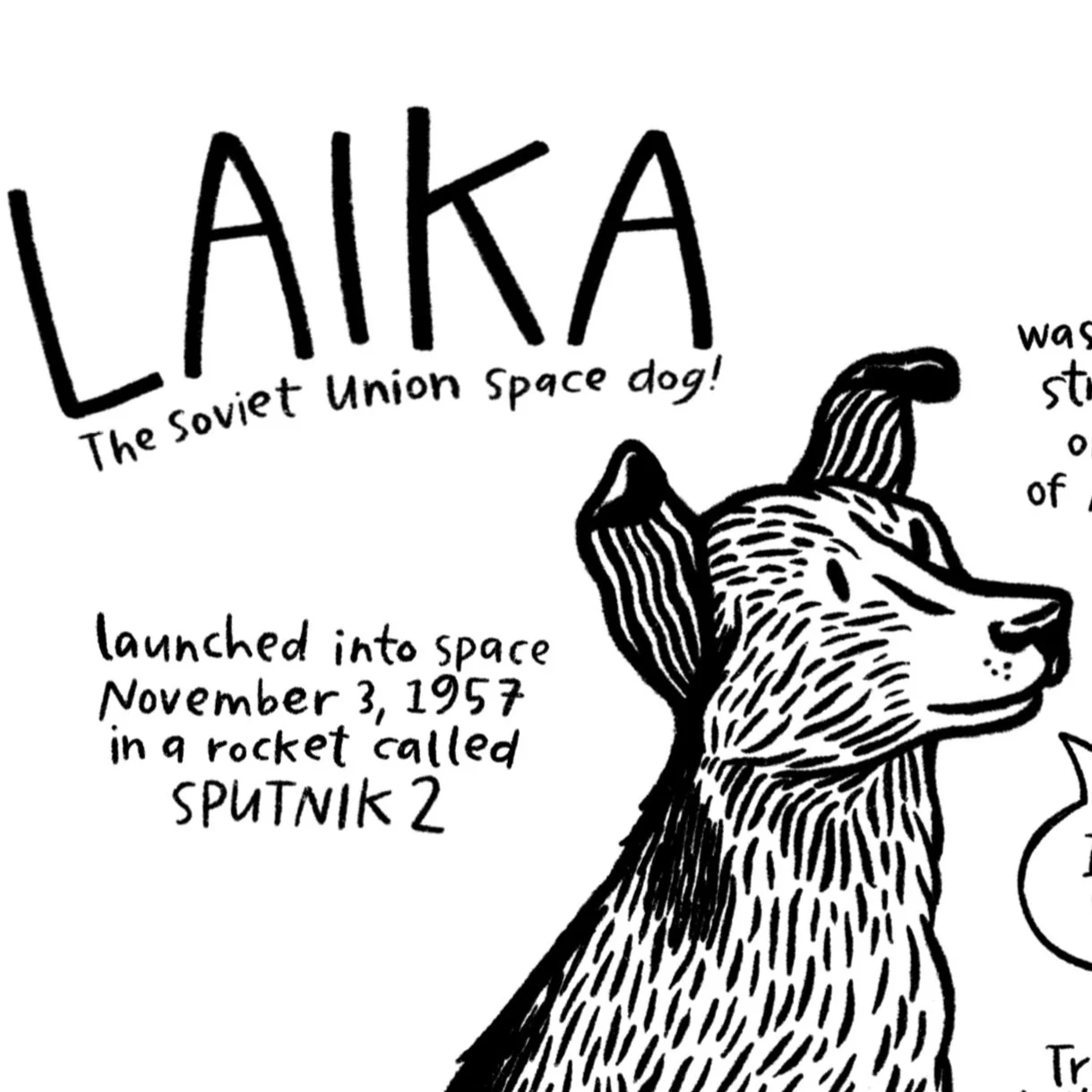 Illustration of Laika, the Soviet Union space dog, with text about her launch on November 3, 1957, in Sputnik 2 rocket.