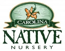 carolina-native-nursery_1.jpeg