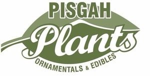 pisgah-plants-logo.jpeg