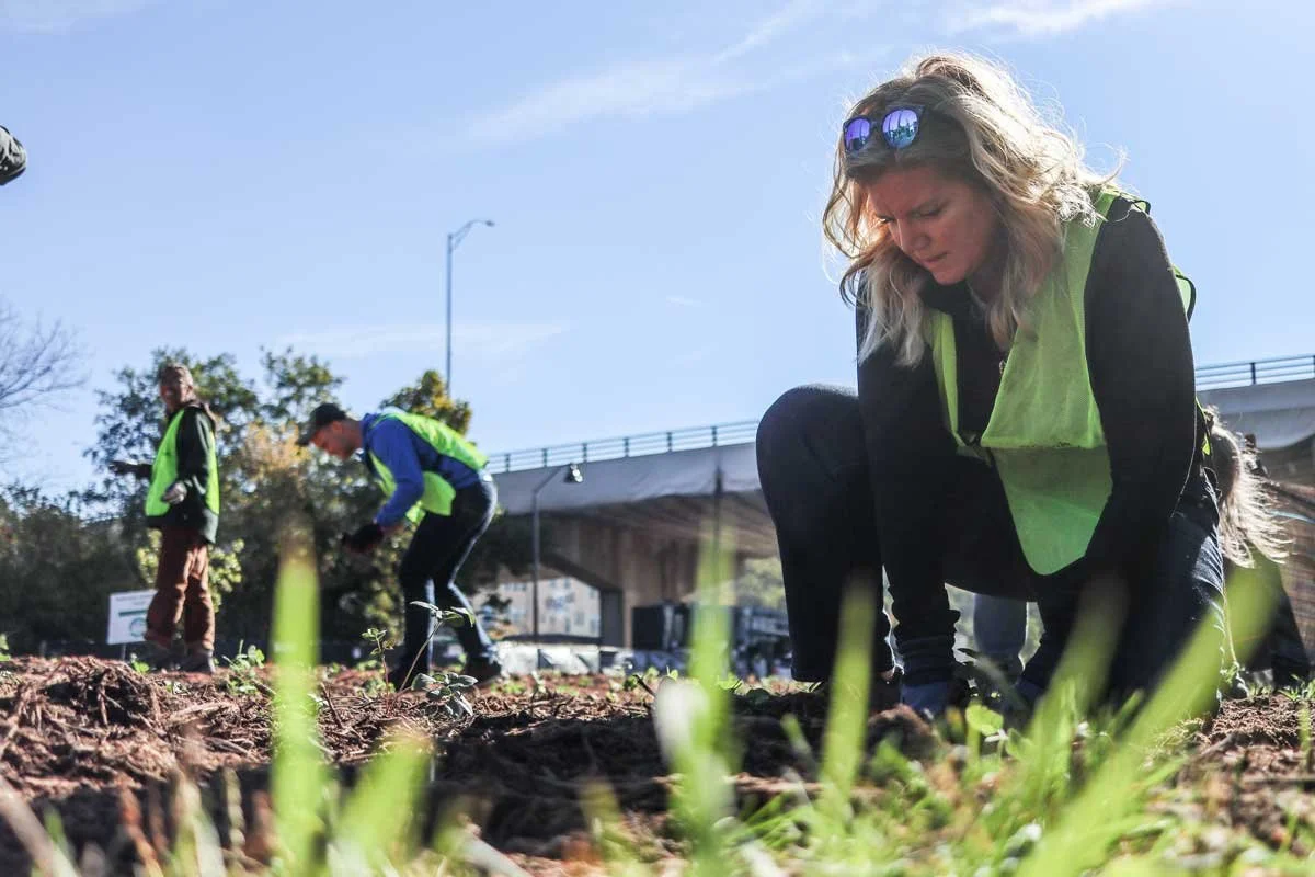 Volunteers-plant-native-flower-meadow.jpg