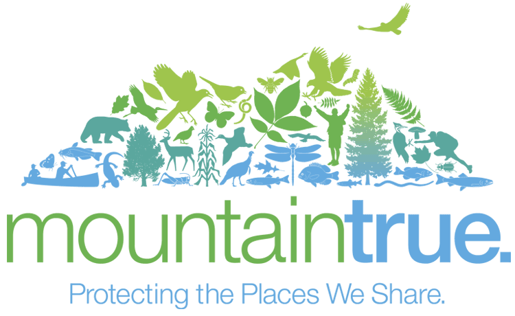 mountaintrue-logo-tag-12-14-750x460transp-1_orig.png