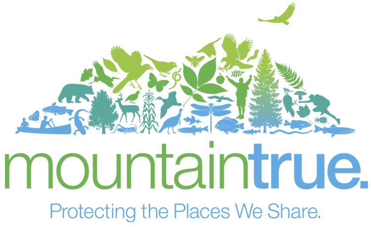 mountaintrue-logo-tag-12-14-750x460transp-1_orig.png