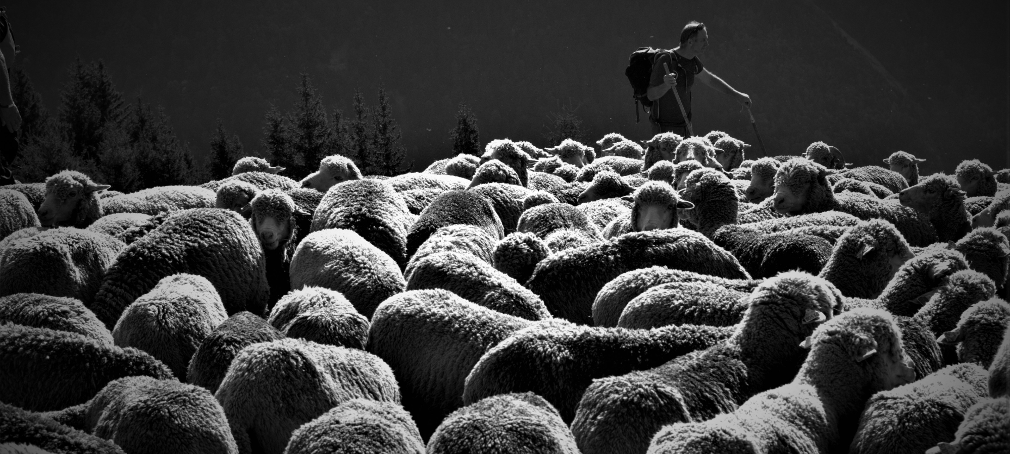 The Third Sunday of Easter