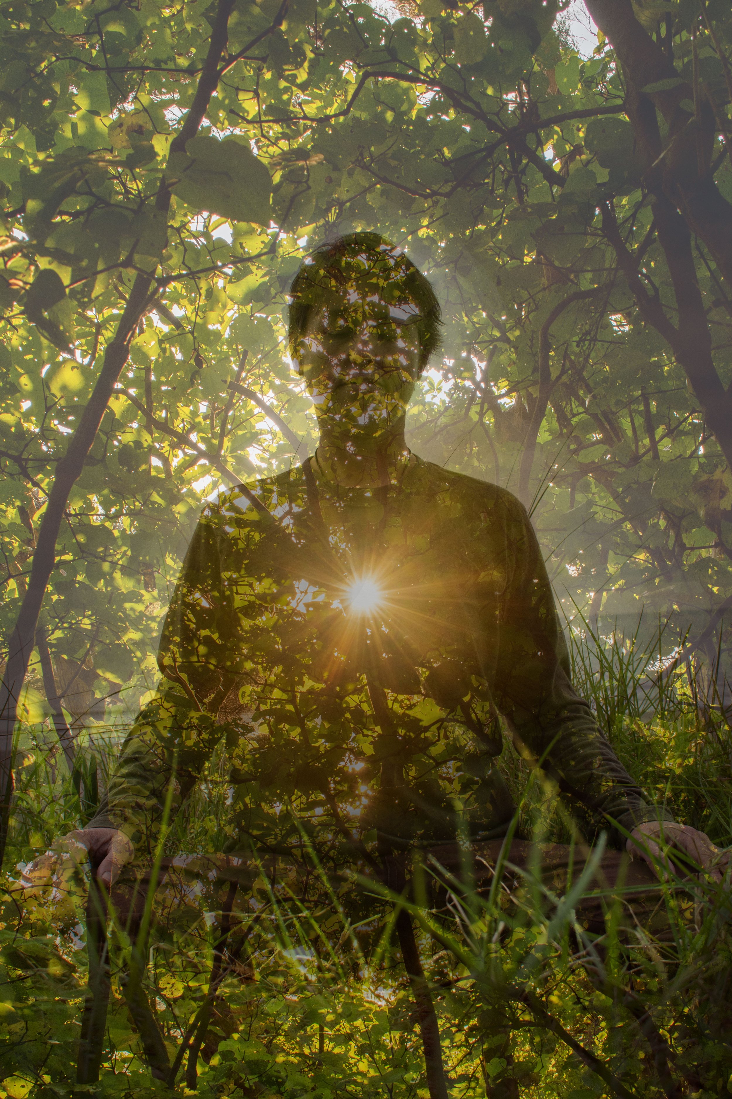 The Heart of Meditation